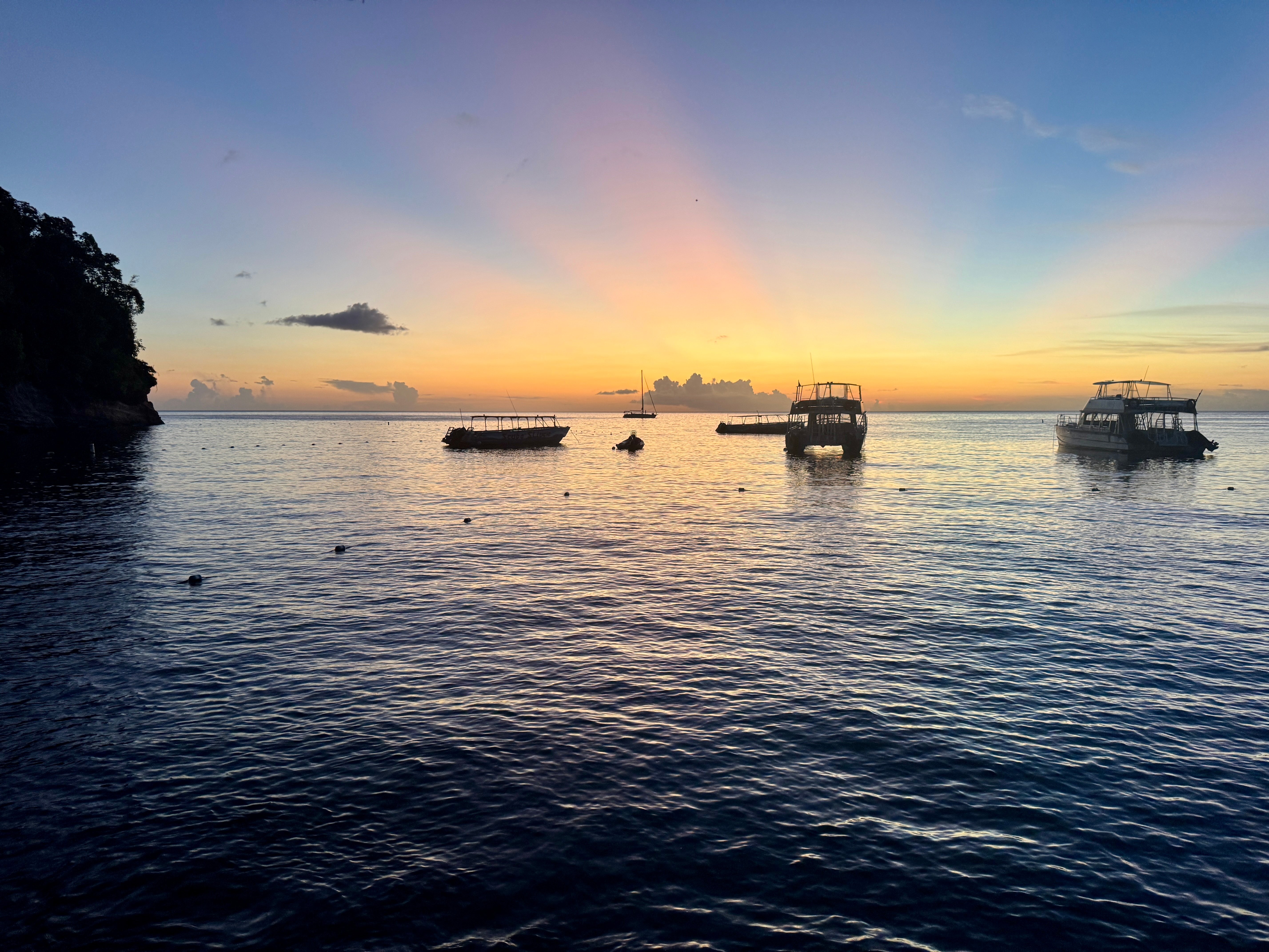 Night Dive in St. Lucia