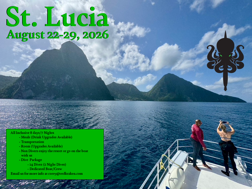 St Lucia 2026 AD 22AUG26